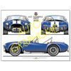 AUTO GRAPHISME
FORD
AC COBRA 427