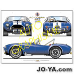 AUTO GRAPHISME
FORD
AC COBRA 427