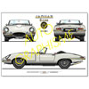 AUTO GRAPHISME
Jaguar TYPE E
3.8L MARK1