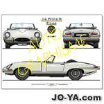 AUTO GRAPHISME
Jaguar TYPE E
3.8L MARK1