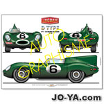 AUTO GRAPHISME
Jaguar TYPE D