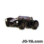 ピンバッジ
FORD
TYPE13
( COBRA )
