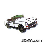ピンバッジ
MG
TYPE12
( MIDGET )