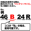 バッテリー
カットオフスイッチ
(JIS)
TYPE 2